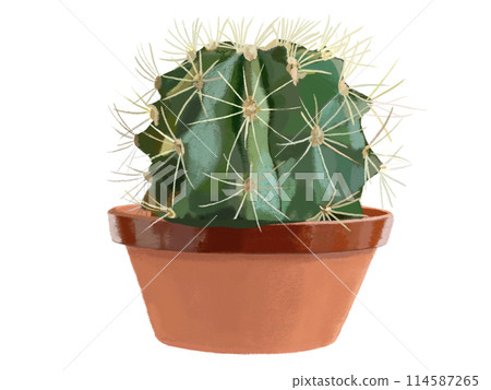 Cactus (1 pc.) Cactus (1 pc.) 114587265