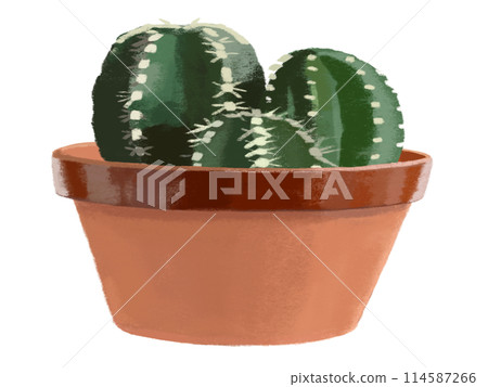 Cactus (3 pieces) 114587266