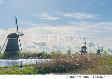 荷蘭 Kinderdijk-Elshout 風車網路世界遺產 114587586