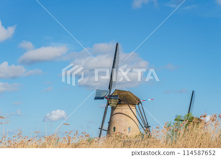 荷蘭 Kinderdijk-Elshout 風車網路世界遺產 荷蘭 Kinderdijk-Elshout 風車網路世界遺產 114587652