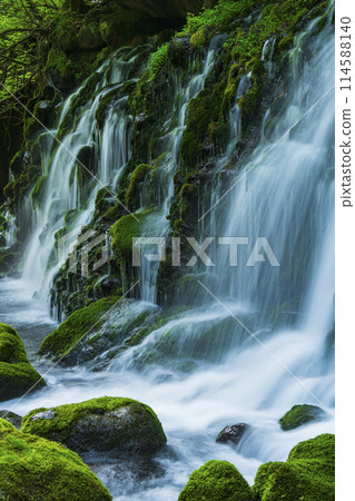 新鮮的綠色前瀑布水下的水 114588140