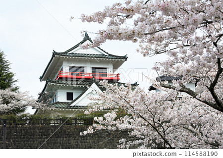 Cherry blossoms at Wakui Castle ruins 114588190