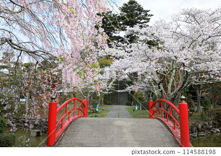 湧谷城蹟的櫻花 湧谷城蹟的櫻花 114588198