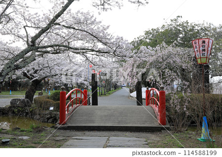 湧谷城蹟的櫻花 湧谷城蹟的櫻花 114588199