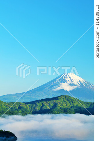 Early summer morning: Mt. Fuji and sea of clouds from Hakone 114588313