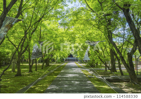 京都的新綠，臨濟宗興勝寺（織部寺），直通正殿的參道 114588330