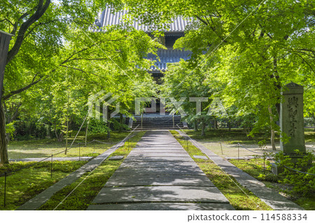 Fresh greenery in Kyoto: Rinzai sect Koshoji (Oribe-ji) temple, a straight approach to the main hall Fresh greenery in Kyoto: Rinzai sect Koshoji (Oribe-ji) temple, a straight approach to the main hall 114588334