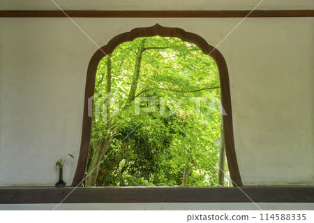Nishijin Koshoji Temple (Oribe Temple) - A garden of fresh greenery seen through a firelight window Nishijin Koshoji Temple (Oribe Temple) - A garden of fresh greenery seen through a firelight window 114588335
