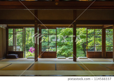鮮綠的京都臨濟宗興勝寺（織部寺）北城庭園 114588337