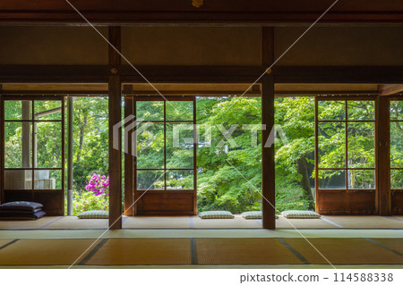 鮮綠的京都臨濟宗興勝寺（織部寺）北城庭園 114588338