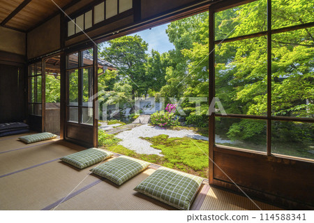 鮮綠的京都臨濟宗興勝寺（織部寺）北城庭園 114588341