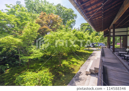 Fresh greenery in Kyoto: Rinzai sect Koshoji Temple (Oribe Temple) Hojo Garden 114588346
