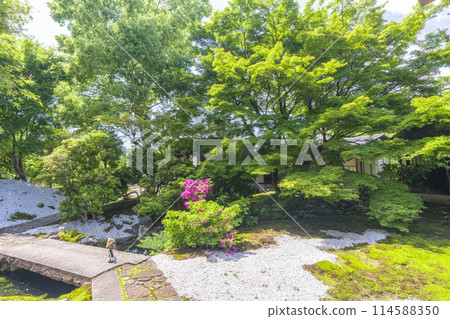 鮮綠的京都臨濟宗興勝寺（織部寺）北城庭園 114588350