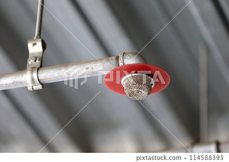 Sprinkler system image 114588393