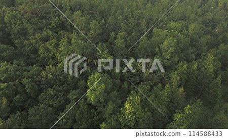 "Shiretoko no Mori" shot from the sky with a drone (near Iwaobetsu hot spring / Shari-cho, Shari-gun, Hokkaido) 114588433