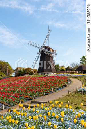 鶴見綠地公園的鬱金香和風車 114588996
