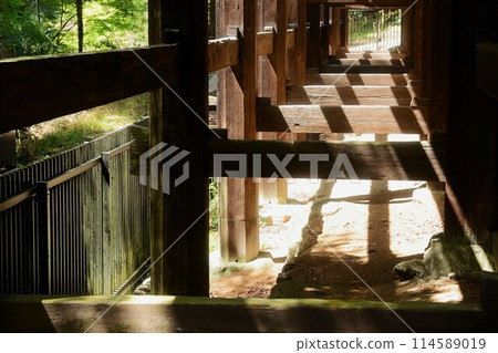 寺廟地下結構 114589019