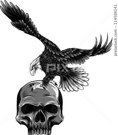 vector illustration of monochrome eagle on human skull isolated background 114589141