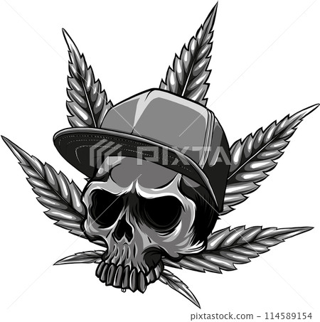 vector illustration of monochrome skull with hat and marijuana leaf vector illustration of monochrome skull with hat and marijuana leaf 114589154