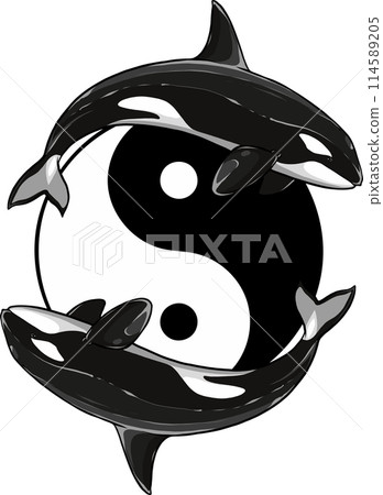 vector illustration of two killer whale around Yin Yang symbol vector illustration of two killer whale around Yin Yang symbol 114589205