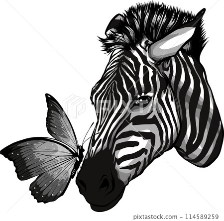 vector monochrome Zebra head with butterfly animal 114589259