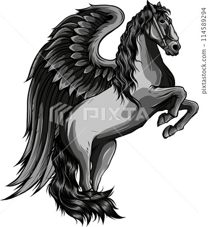 monochrome pegasus vector illustration - winged horse side view black and white design 114589294