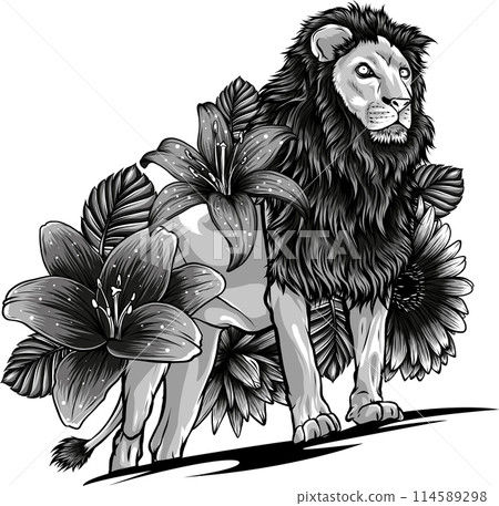 vector illustration of monochrome lion with flower on white background vector illustration of monochrome lion with flower on white background 114589298