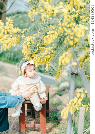 含羞草 兒童 嬰兒 114589502