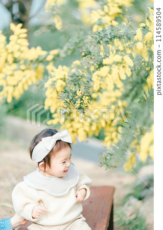 mimosa children baby mimosa children baby 114589504