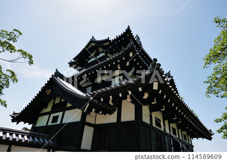 Takada Castle Ruins Park and Takada Castle Three-Story Turret Takada Castle Ruins Park and Takada Castle Three-Story Turret 114589609