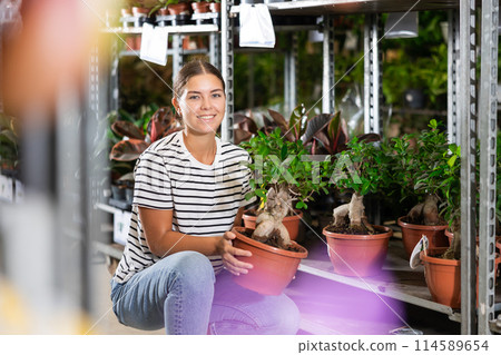 Portrait of male florist with flower ficus gingein in flower shop 114589654