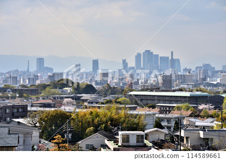 [Aichi Prefecture] Nagoya cityscape: View from Tenpaku Ward, Nagoya City 114589661