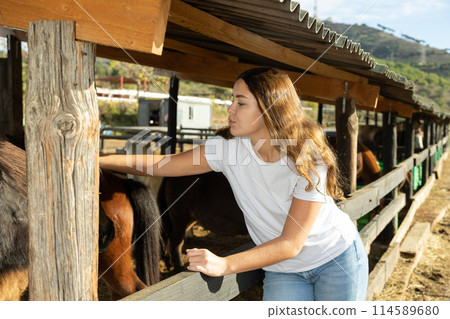 Portrait of cheerful European young woman stroking foals in stall of horse club on sunny day of summer Portrait of cheerful European young woman stroking foals in stall of horse club on sunny day of summer 114589680