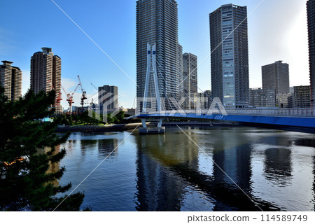 東京東雲辰巳櫻花橋和高層塔樓公寓大樓的風景 東京東雲辰巳櫻花橋和高層塔樓公寓大樓的風景 114589749