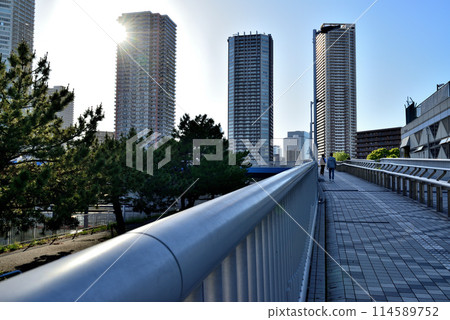 東京東雲辰巳櫻花橋和高層塔樓公寓大樓的風景 東京東雲辰巳櫻花橋和高層塔樓公寓大樓的風景 114589752