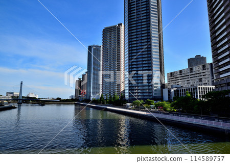 東京東雲辰巳櫻花橋和高層塔樓公寓大樓的風景 114589757