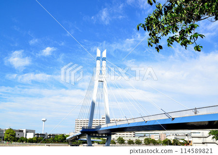 東京東雲辰巳櫻花橋和高層塔樓公寓大樓的風景 東京東雲辰巳櫻花橋和高層塔樓公寓大樓的風景 114589821