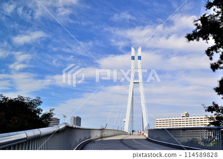 東京東雲辰巳櫻花橋和高層塔樓公寓大樓的風景 東京東雲辰巳櫻花橋和高層塔樓公寓大樓的風景 114589828