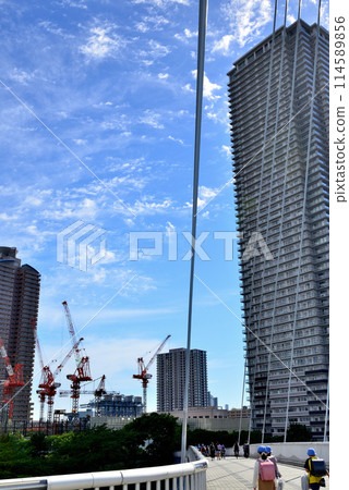 東京東雲辰巳櫻花橋和高層塔樓公寓大樓的風景 114589856