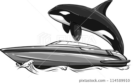 vector illustration of orca with boat on water vector illustration of orca with boat on water 114589910