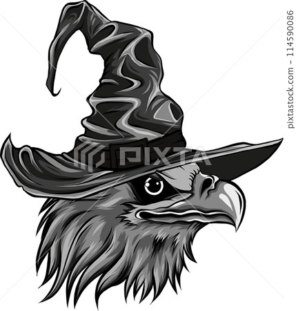 vector illustration of monochrome head eagle with wizard hat vector illustration of monochrome head eagle with wizard hat 114590086