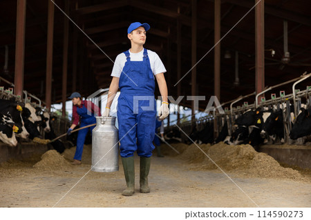 Portrait of young European man dairy farmworker in uniform carrying large metal milk can in cowshed 114590273