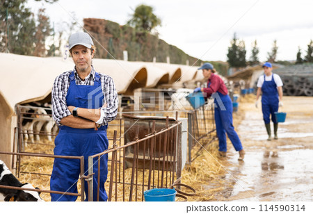 Portrait of middle-aged male farmer worker in overalls standing with crossed hands on livestock dairy farm 114590314