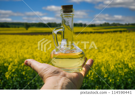 Hand holding a glass bottle filled with yellow rapeseed oil Hand holding a glass bottle filled with yellow rapeseed oil 114590441