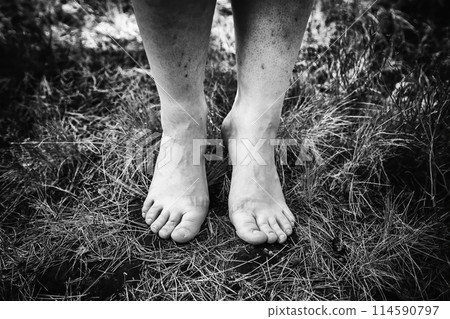 Woman's feet in the grass 114590797