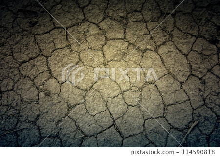 Dry and cracked land 114590818