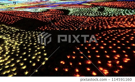 Illuminations at Tokyo German Village in Chiba Prefecture 114591160