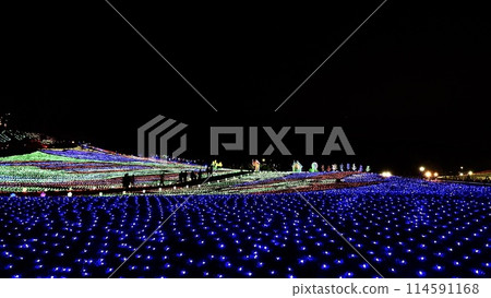 Illuminations at Tokyo German Village in Chiba Prefecture 114591168