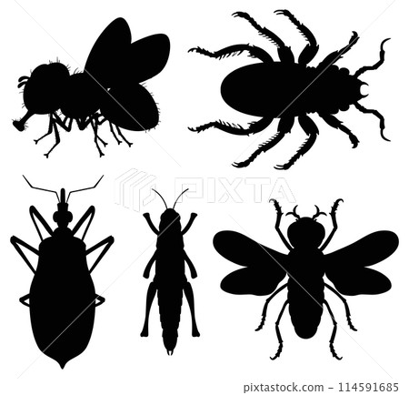 Silhouettes of Various Insects Collection 114591685