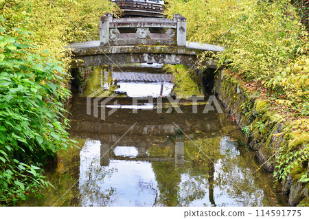 The beautiful grounds of Matsuo Taisha Shrine, Kyoto (Nishikyo Ward, Kyoto City, Kyoto Prefecture) The beautiful grounds of Matsuo Taisha Shrine, Kyoto (Nishikyo Ward, Kyoto City, Kyoto Prefecture) 114591775
